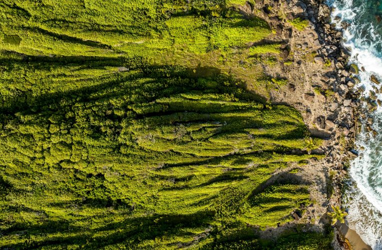 Du Xizang à Bornéo : L’écotourisme s’impose comme un levier de développement durable